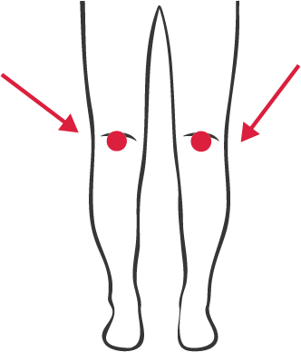腰背保養、久坐硬梆梆：請將舒利貼貼於膝蓋後方中正間，左右膝後各貼上一顆。